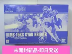 未組立 hg ギャンクリーガー　ギャン・クリーガー ガンプラのサムネイル