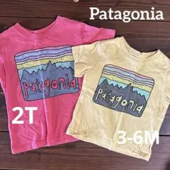 Patagonia Tシャツ 男の子 女の子 兄弟 お揃い 90 70 キッズ
