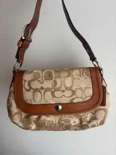 コーチ ワンショルダーバッグ キャンバス シグネチャー F14490