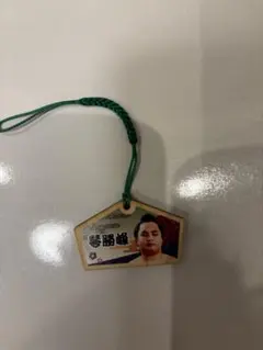 Item thumbnail for item a28138a9-0610-4dfa-8991-49da35a71435