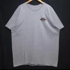 Rock'n Roller Coaster Disney Tシャツ 2XL