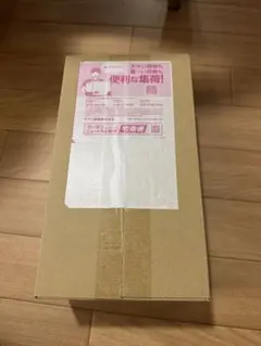 ポケモンセンターフクオカ スペシャルBOX シュリンク付　未開封