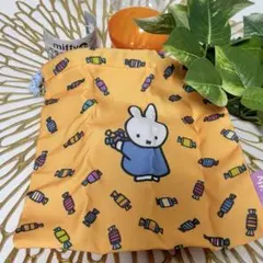 Item thumbnail for item ea163583-3dff-491d-967e-77cf27db99b8