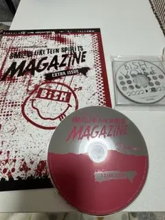 Item thumbnail for item 52a4197f-55ab-4036-b584-0cc0be274863