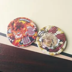 【ヒロアカ】ぴた!でふぉめ 缶バッジ エンデヴァー ホークス 轟炎司 鷹見啓悟