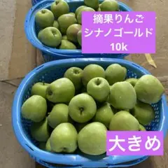 摘果りんご シナノゴールド　中身10kのサムネイル