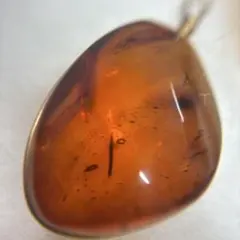 琥珀ペンダントトップ