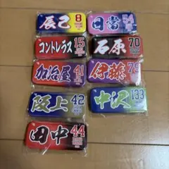 東北楽天ゴールデンイーグルス 選手缶バッジ 9種セットのサムネイル