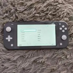 Nintendo Switch Lite グレー 本体 ACアダプター付き