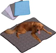 Item thumbnail for item 355bc4b1-ef14-44f6-9536-a25e56aba1ca