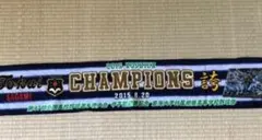 Item thumbnail for item 61b26315-f79b-424b-9380-23c01d75d10a