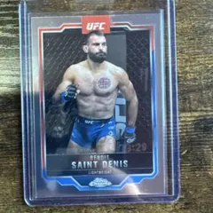 Item thumbnail for item 407e55eb-bafd-41be-a490-718a58b4cae6