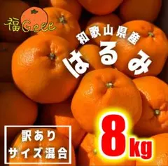 12和歌山県産はるみ サイズ混合 8kg 訳あり 有田みかん