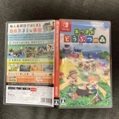 L*︎様 あつまれ どうぶつの森 Nintendo Switch