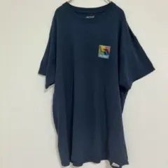 ギルダン Tシャツ 丸首 半袖 紺 綿 デイリー