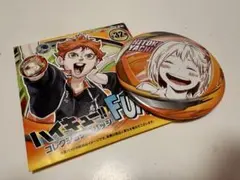 ハイキュー コレクション缶バッジ ファンパーク 谷地仁花