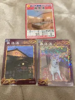 Item thumbnail for item 1dd3e519-4983-4465-a0fb-5b408604d5a0