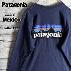 メキシコ製】Patagonia パタゴニア ロンT 両面プリント メンズS 紺 