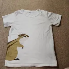 無印良品　アニマル　リス　半袖Tシャツ　140cm