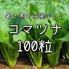 オカン50様 リクエスト 3点 まとめ商品