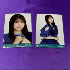 Item thumbnail for item aaf5629b-15dc-4489-9511-33b6a4b20ef5