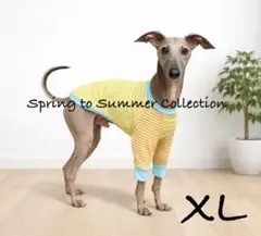 Item thumbnail for item 8e950442-e06c-43b1-8c62-f66f5ddb834c