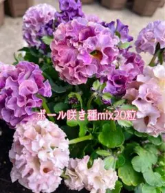 M’s art様 リクエスト 2点 まとめ商品