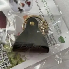 Item thumbnail for item 53a5862c-4c66-4524-911f-ae108d929073