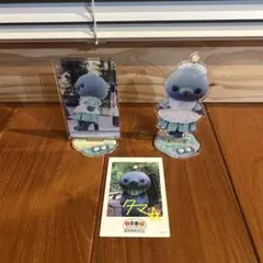 教育番組　ほめほめカフェ　タマ アクリルスタンド　ステッカー