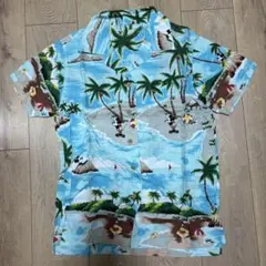 Item thumbnail for item 0151d403-ea1f-4bd5-9888-d073260a836f