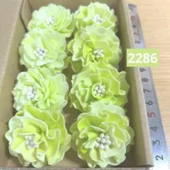 ソラフラワー　2286