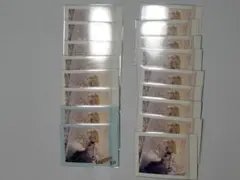 プロセカ　ぱしゃこれ　鏡音リン