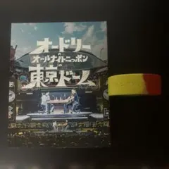 オードリーのオールナイトニッポン 10周年全国ツアー 日本武道館