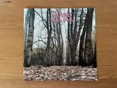 トゥインク　英サイケ　名盤　ピンク・フェアリーズ　廃盤　1970年