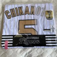 Item thumbnail for item ce3e11ae-593f-4dab-9fed-db5270109994