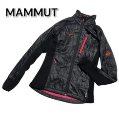 Item thumbnail for item 1a4da6b2-f1c1-4069-bd6b-d7b7b0b2c725