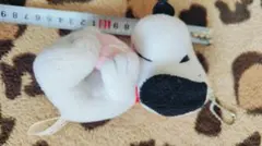 スヌーピー キーホルダー