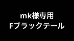 Fブラックテール