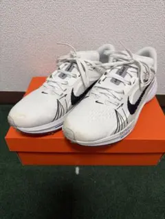 NIKE ペガサス1G