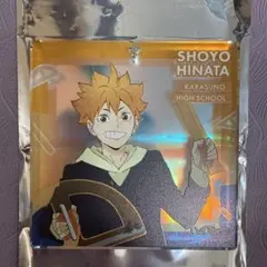 日向翔陽 ハイキュー ショウワノート ジャンフェス BIGオーロラブロッキー