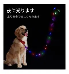 Item thumbnail for item 9e27ad78-189c-468b-a998-b89e153ff15b