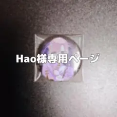 Hao様専用ページ