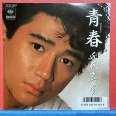 再出品 藤島武二・岡田三郎助展 図録 図版 日本画 入手困難 希少