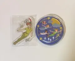 ディズニー 刺繍缶バッジ ピーターパン