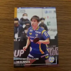 Item thumbnail for item c3fca1ee-0c4d-42cb-a6d3-e8daaab46385