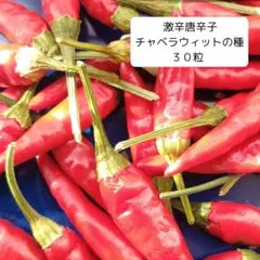 すんすーら様 リクエスト 2点 まとめ商品