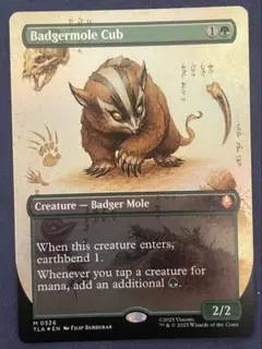 アナグラモグラの仔　ボーダーレス　英語　foil