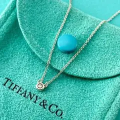 TIFFANY&Co ピンクサファイア バイザヤード ピアス ネックレス 誕生石 