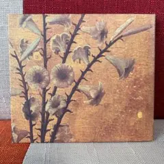 黒夢 新品未開封(迷える百合達以外) 2025年最新】黒夢 迷える百合達の人気アイテム - メルカリ