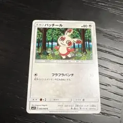 パッチール C SM1S コレクションサン 045/060